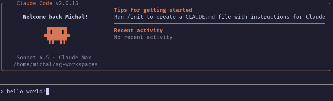 Claude Code welcome screen in the terminal
